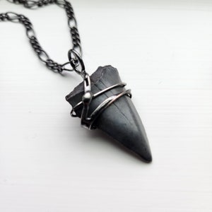 Shark Tooth Pendant, Fossil Necklace for Men, Artisan Handmade Jewelry, Real Megalodon Tooth, Gift for Husband, Son, Father's Day Gift,
