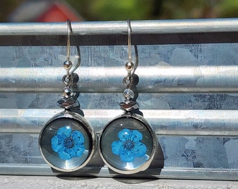 Pressed Flower Jewelry, Forget Me Not Earrings, Real Pressed Flower Forget Me Nots, Sterling Silver Ear Wires, Handmade Gift for Women,