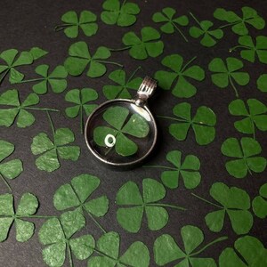 Four Leaf Clover Pendant Necklace, Carry the Luck of the Irish, Botanical Jewelry, 4 Leaf Clover Jewelry, Lucky Charm, Shamrock Gift image 5