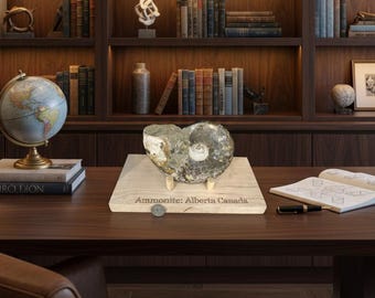 Alberta Province Ammonite