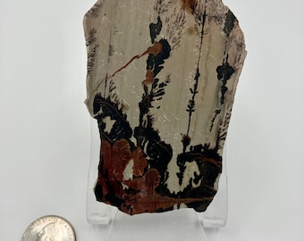 Dendritic Stone