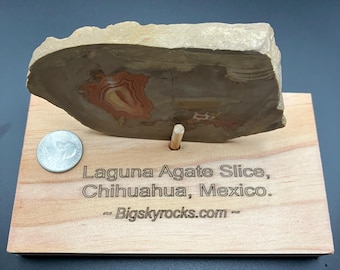 Laguna Agate Slice, Chihuahua, Mexico