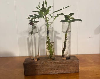 3 position plant propagation stand  - nice grain maple base