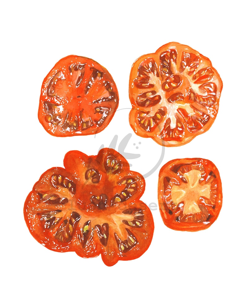 Watercolor Painting Vegan Art Sliced Tomato Art Print Gardening Gift Kitchen Decor Wall Art Housewarming