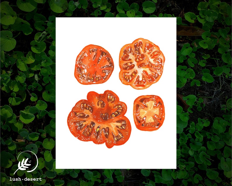 Watercolor Painting Vegan Art Sliced Tomato Art Print Gardening Gift Kitchen Decor Wall Art Housewarming