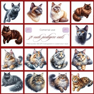 14 png templates    50 breed cats PNG bundle: high-resolution water-colored illustrations