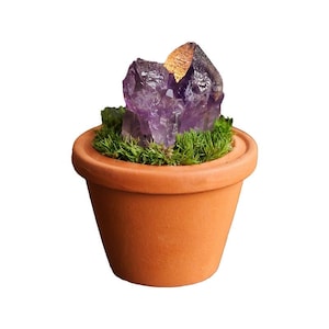 Puede incluir: Una pequeña maceta de color terracota llena de musgo verde y un grupo de cristales de amatista morados. Los cristales tienen una forma natural y dentada y están parcialmente cubiertos por un acento metálico marrón dorado.