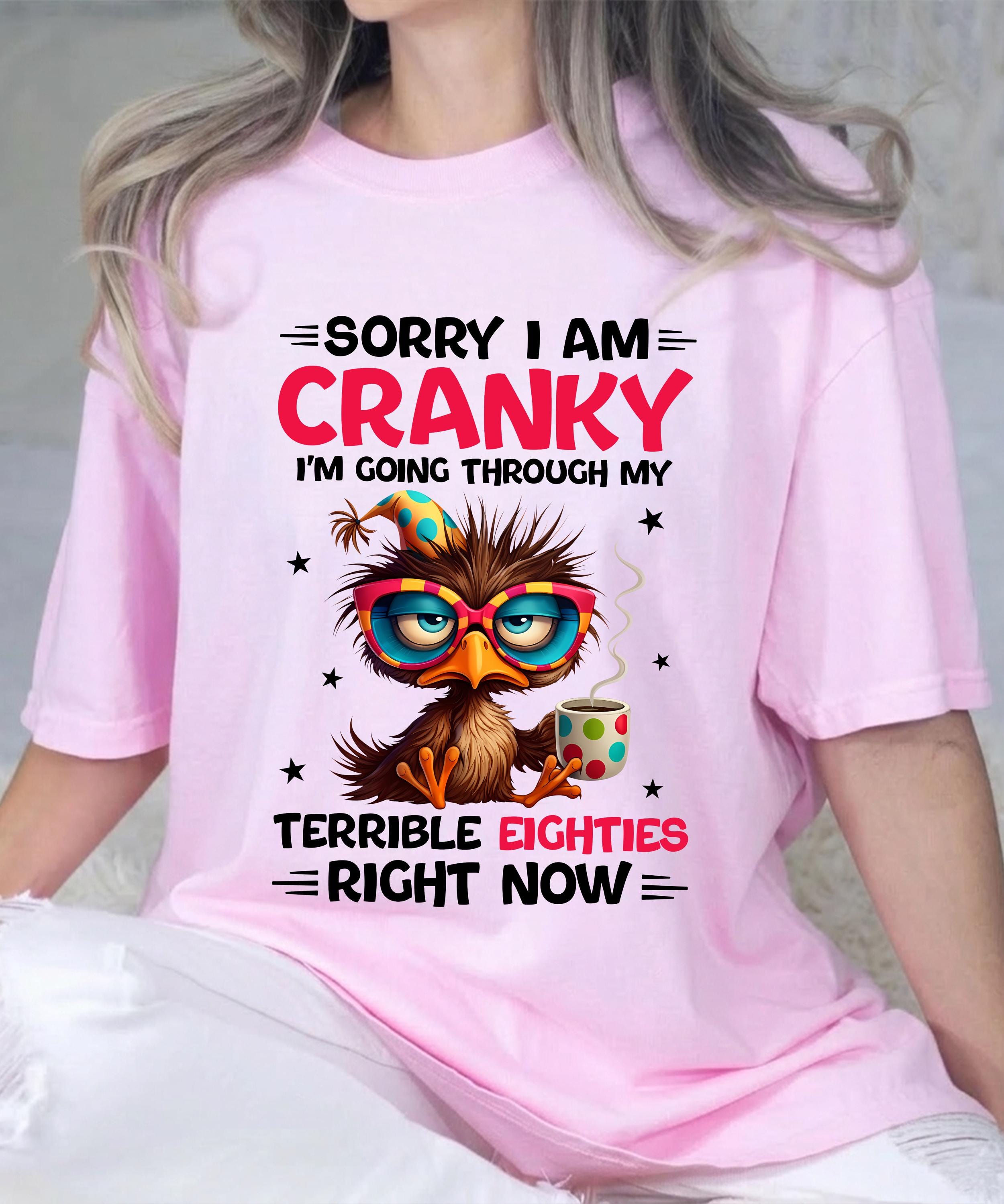 Sorry I Am Cranky I'm Going Through My Terrible Seventies T-shirt ...