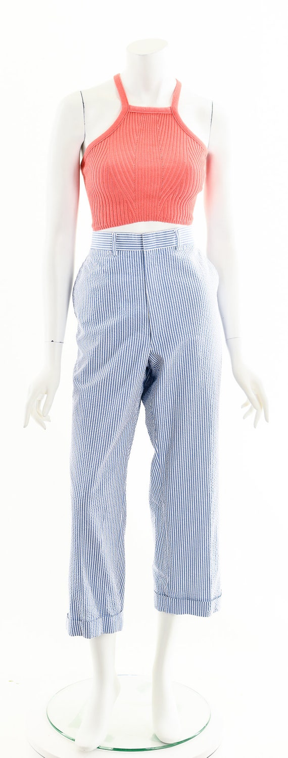 Blue Striped Pants,High Waisted Pants,Brooks Brot… - image 4