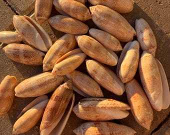 50 azeitonas impecáveis com letras