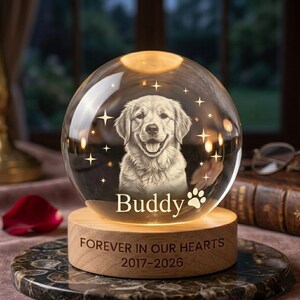 Haustier-Gedenk-Kristallkugel-Lampe mit Foto, 3D gravierte Hundekatze Porträt-Nachtlicht, Trauergeschenk für Haustier-Besitzer