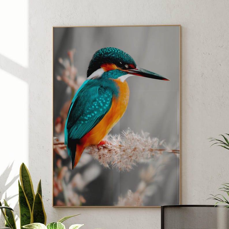 Kingfisher poster – colorful nature print as a modern bird poster for pictures living room & wall art, animal poster without frame FSC paper image 8