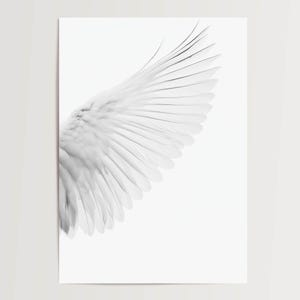 Póster minimalista de alas blancas: pluma de pájaro abstracta, arte mural moderno, estilo escandinavo, inspiración y tranquilidad para el salón.
