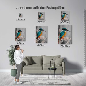 Kingfisher poster – colorful nature print as a modern bird poster for pictures living room & wall art, animal poster without frame FSC paper image 5