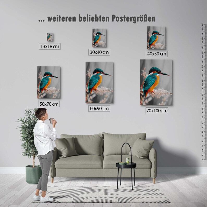Kingfisher poster – colorful nature print as a modern bird poster for pictures living room & wall art, animal poster without frame FSC paper image 5
