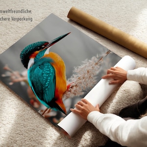 Kingfisher poster – colorful nature print as a modern bird poster for pictures living room & wall art, animal poster without frame FSC paper image 6