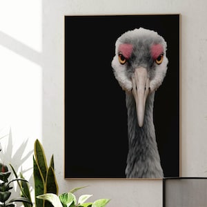 Poster minimalista con ritratto di gru – Poster con elegante uccello, decorazione da parete in bianco e nero, design moderno, senza cornice