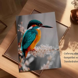 Kingfisher poster – colorful nature print as a modern bird poster for pictures living room & wall art, animal poster without frame FSC paper image 7