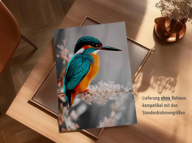Kingfisher poster – colorful nature print as a modern bird poster for pictures living room & wall art, animal poster without frame FSC paper image 7