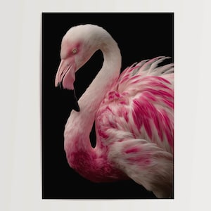 Poster Flamingo rosa Tierkunst auf Schwarz – modernes Tierposter, skandinavische Deko, stilvolles Naturmotiv ungerahmt