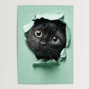 Poster Gatto nero che guarda attraverso carta strappata, immagine murale, carina, decorativa, moderna, idea regalo