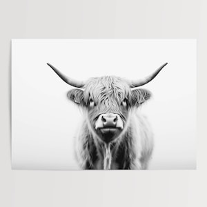 Póster de ganado de las Tierras Altas, retrato minimalista en blanco y negro de animales, decoración moderna escandinava para sala de estar, habitación infantil, regalo