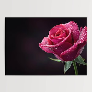 Póster de rosa roja con gotas de rocío: fotografía floral, flor romántica, arte mural moderno, arte natural para sala de estar
