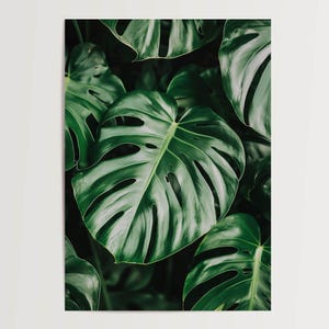 Poster Monstera lascia verde tropicale, decorazione botanica da parete, arte vegetale della giungla urbana, poster naturalistico per soggiorno