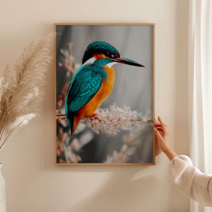 Kingfisher poster – colorful nature print as a modern bird poster for pictures living room & wall art, animal poster without frame FSC paper image 1