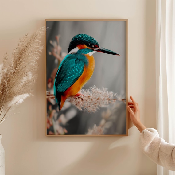 Eisvogel Poster – farbenfroher Naturdruck als modernes Vogel Poster für Bilder Wohnzimmer & Wandkunst, Tierposter ohne Rahmen FSC-Papier