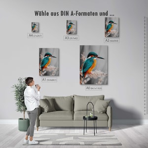 Kingfisher poster – colorful nature print as a modern bird poster for pictures living room & wall art, animal poster without frame FSC paper image 4