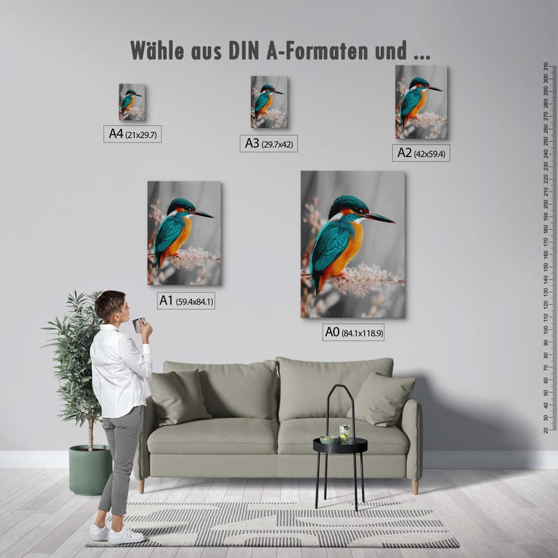 Kingfisher poster – colorful nature print as a modern bird poster for pictures living room & wall art, animal poster without frame FSC paper image 4