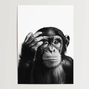 Poster fotorealistico di uno scimpanzé in ritratto in bianco e nero con primi piani e dettagli intensi