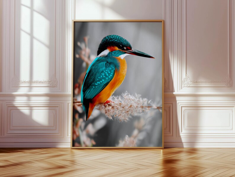 Kingfisher poster – colorful nature print as a modern bird poster for pictures living room & wall art, animal poster without frame FSC paper image 10