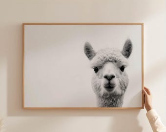 Black and white alpaca poster, minimalist animal portrait, humorous llama art print, wall decoration, unframed, modern, sustainable