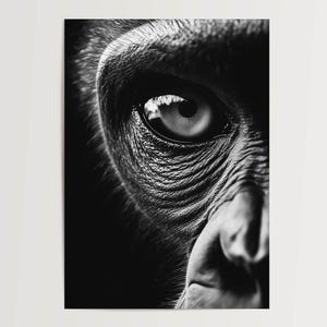Póster impresionante retrato de gorila en blanco y negro, primer plano del ojo del animal como cuadro de pared