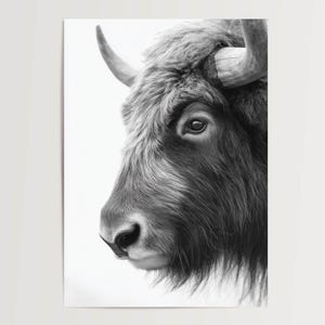 Poster "Highland Cattle" in bianco e nero, minimalista, decorazione da parete con ritratto di animali, poster scandinavo moderno, senza cornice