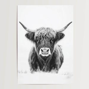 Poster Highland Rind schwarzweiß minimalistisch, modernes Tierposter, skandinavische Deko, Wandbild Natur Kunst
