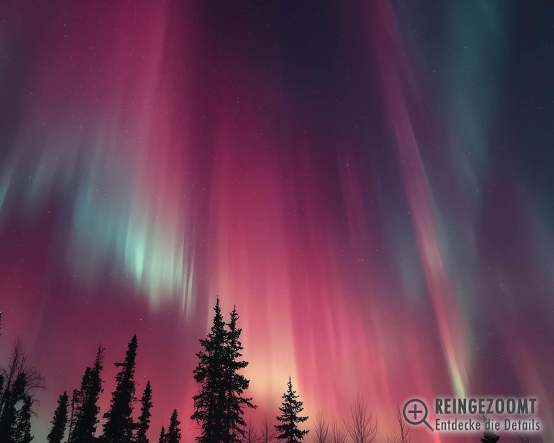 Northern Lights Poster – Night Sky Art over Forest, Mystical Landscape as Nature Poster and Modern Poster for Living Room Wall Art image 3