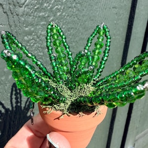 Pode incluir: Um pequeno vaso de terracota contendo uma escultura de planta decorativa feita de contas de vidro verde transl&uacute;cido. As contas s&atilde;o enfiadas em arame para formar folhas pontiagudas, com musgo verde preenchendo a base do vaso ao redor.