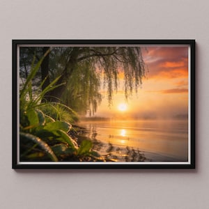 Könnte beinhalten: Gerahmte Landschaftsfotografie, die einen ruhigen Sonnenaufgang über einem nebligen See zeigt. Der Himmel leuchtet in Orange- und Gelbtönen, die sich im ruhigen Wasser spiegeln. Eine Trauerweide hängt über dem Ufer, mit grünem Laub im Vordergrund.