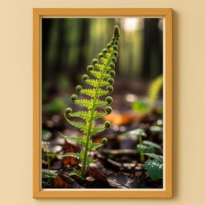 Farn bild - Etsy sterreich