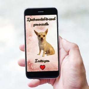 Ik mis je – Geanimeerde honden-e-cardvideo – MP4 voor smartphone – Direct downloaden