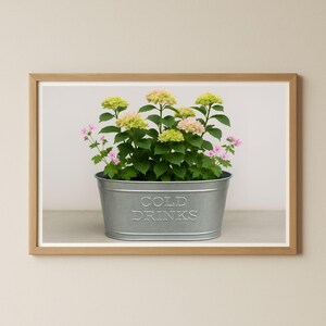 Op de afbeelding: Een ingelijste print met een gegalvaniseerde metalen plantenbak gevuld met groen en roze bloeiende planten. Op de plantenbak staat de tekst "COLD DRINKS". De lijst is van lichtbruin hout.
