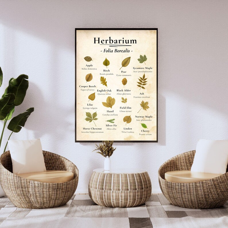 Herbarium Poster – Botanical Leaf Chart as Digital Download –16 Tree ...