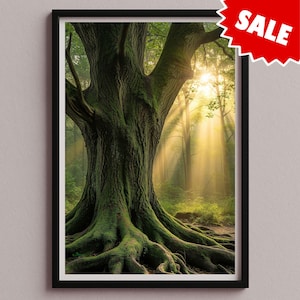 May include: A framed print featuring a large tree in a forest. The tree's trunk and roots are covered in green moss. Sunlight streams through the trees in the background, creating a bright and ethereal scene. A red "SALE" sticker is in the top right corner.