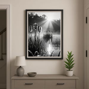 May include: Black and white framed print depicting a tranquil wetland. The image shows a misty pond with cattails and sunlight filtering through the trees. The print is displayed above a grey dresser with a lamp and a small plant.