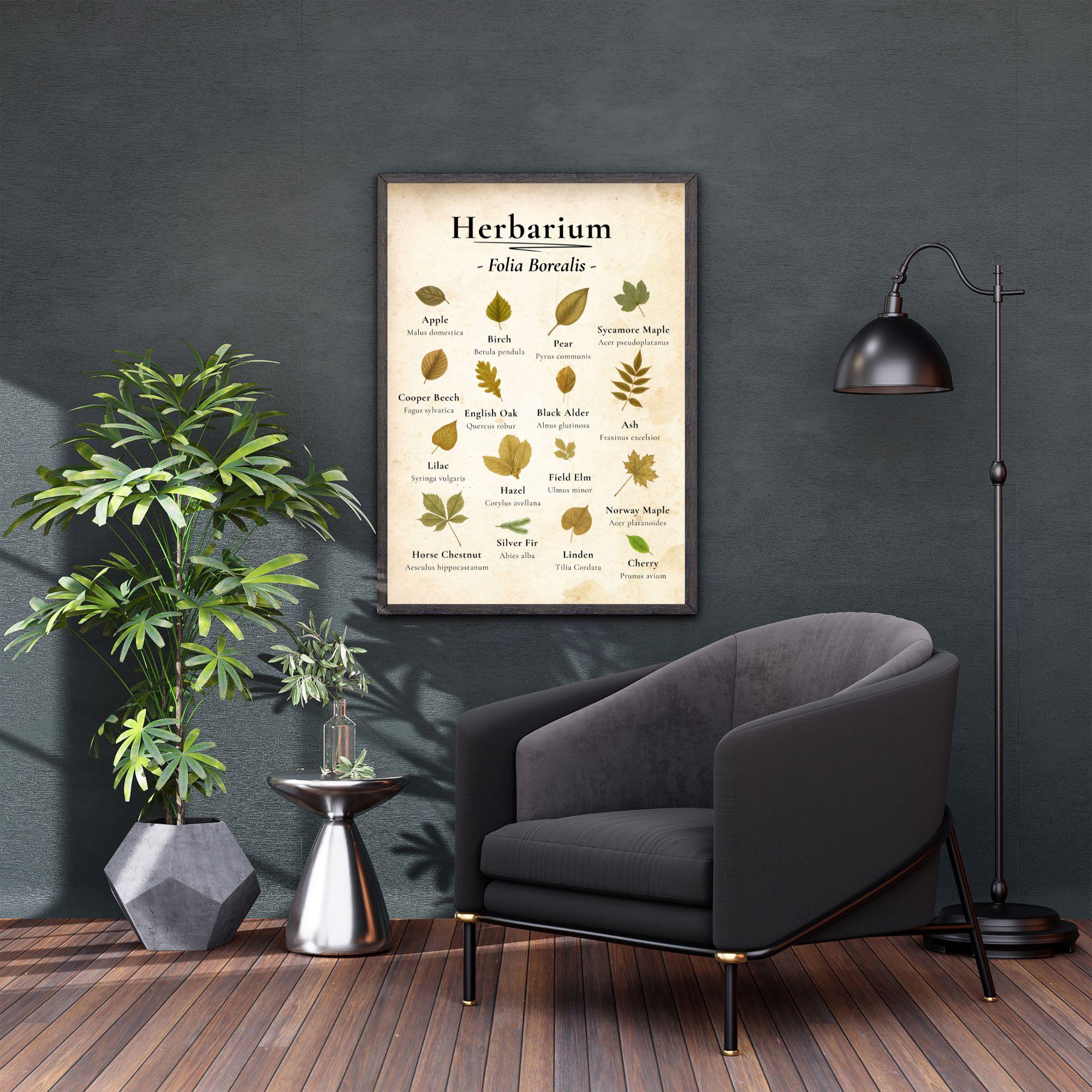 Herbarium Poster – Botanical Leaf Chart as Digital Download –16 Tree ...