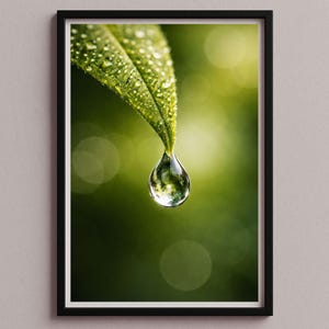 May include: A framed print featuring a close-up of a green leaf with water droplets. A large, clear water droplet hangs from the leaf's tip, reflecting the surrounding green and white bokeh background. The image is framed in a black border.