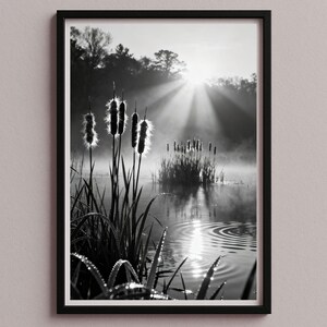 May include: Monochrome framed print of a tranquil wetland. Cattails with fluffy seed heads are in the foreground, with sunlight breaking through the trees in the background. Water droplets glisten on the reeds.